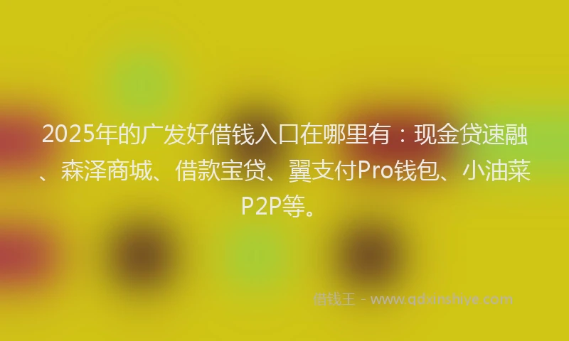 2025年的广发好借钱入口在哪里有：现金贷速融、森泽商城、借款宝贷、翼支付Pro钱包、小油菜P2P等。
