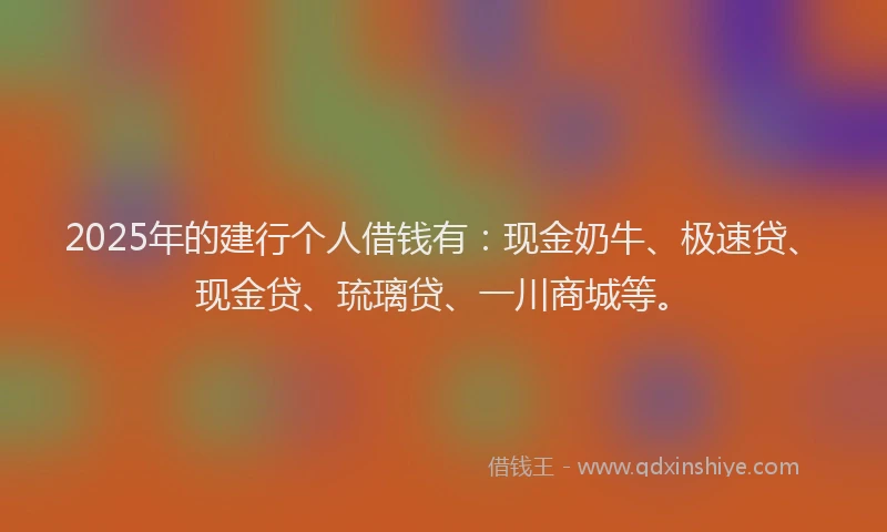 2025年的建行个人借钱有：现金奶牛、极速贷、现金贷、琉璃贷、一川商城等。