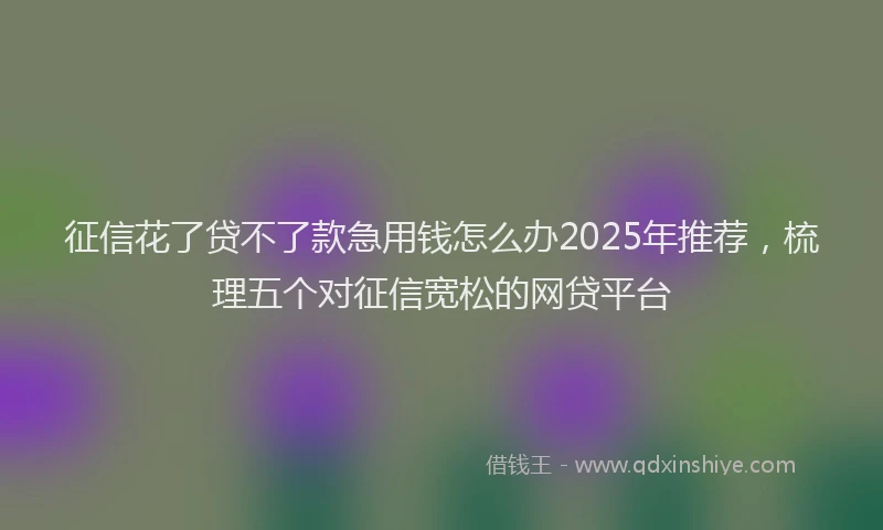 征信花了贷不了款急用钱怎么办2025年推荐，梳理五个对征信宽松的网贷平台