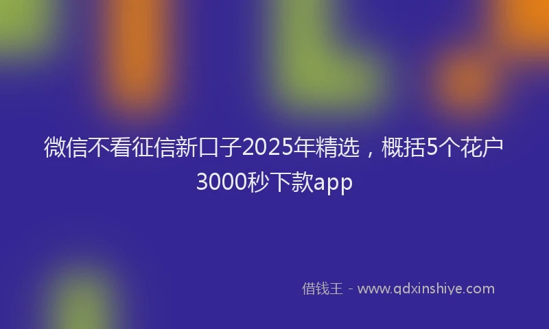 微信不看征信新口子2025年精选，概括5个花户3000秒下款app