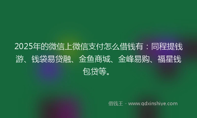 2025年的微信上微信支付怎么借钱有：同程提钱游、钱袋易贷融、金鱼商城、金峰易购、福星钱包贷等。