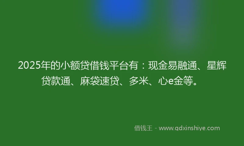 2025年的小额贷借钱平台有：现金易融通、星辉贷款通、麻袋速贷、多米、心e金等。