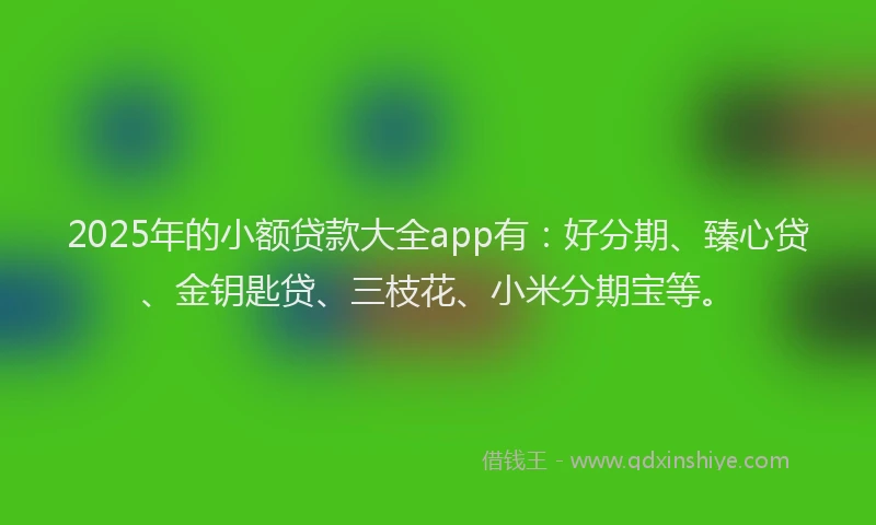2025年的小额贷款大全app有：好分期、臻心贷、金钥匙贷、三枝花、小米分期宝等。