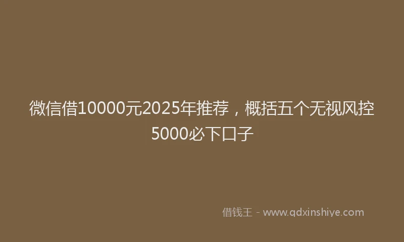 微信借10000元2025年推荐，概括五个无视风控5000必下口子