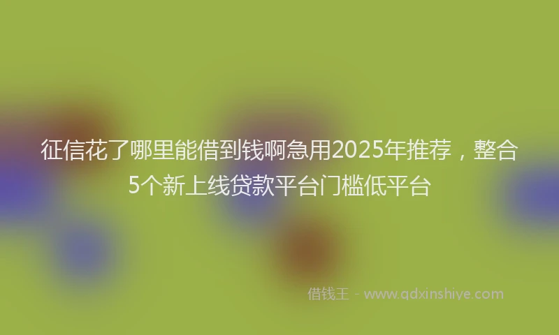 征信花了哪里能借到钱啊急用2025年推荐，整合5个新上线贷款平台门槛低平台