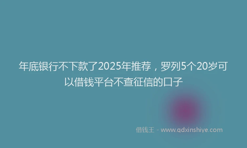 年底银行不下款了2025年推荐，罗列5个20岁可以借钱平台不查征信的口子