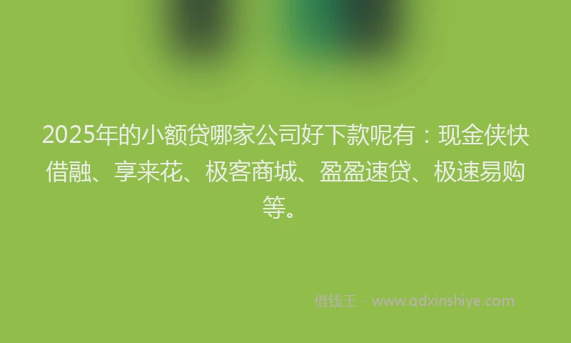 2025年的小额贷哪家公司好下款呢有：现金侠快借融、享来花、极客商城、盈盈速贷、极速易购等。