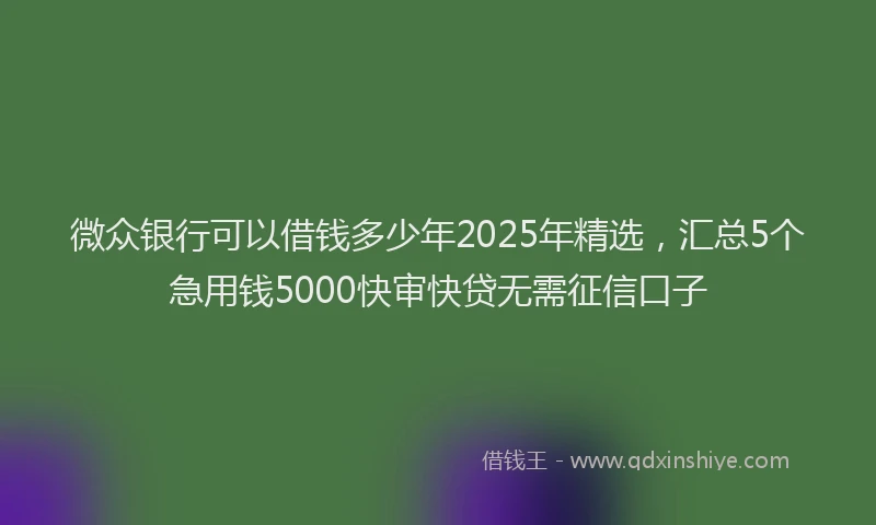 微众银行可以借钱多少年2025年精选，汇总5个急用钱5000快审快贷无需征信口子