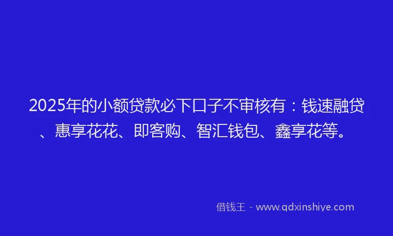 2025年的小额贷款必下口子不审核有：钱速融贷、惠享花花、即客购、智汇钱包、鑫享花等。