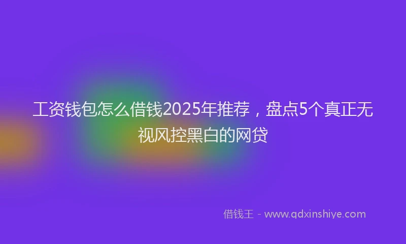 工资钱包怎么借钱2025年推荐，盘点5个真正无视风控黑白的网贷