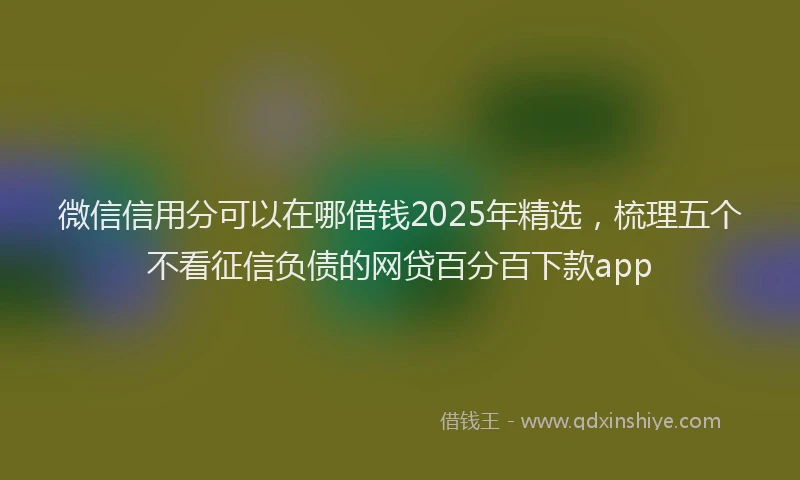 微信信用分可以在哪借钱2025年精选，梳理五个不看征信负债的网贷百分百下款app
