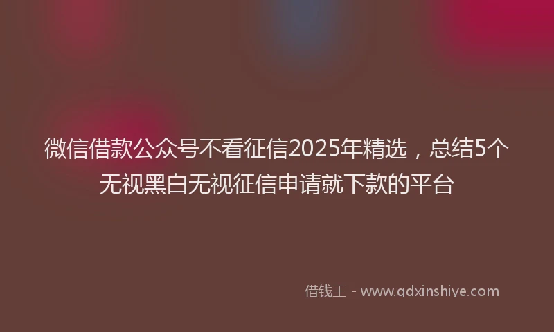 微信借款公众号不看征信2025年精选，总结5个无视黑白无视征信申请就下款的平台
