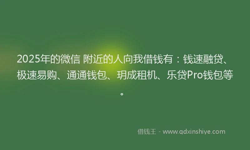 2025年的微信 附近的人向我借钱有：钱速融贷、极速易购、通通钱包、玥成租机、乐贷Pro钱包等。