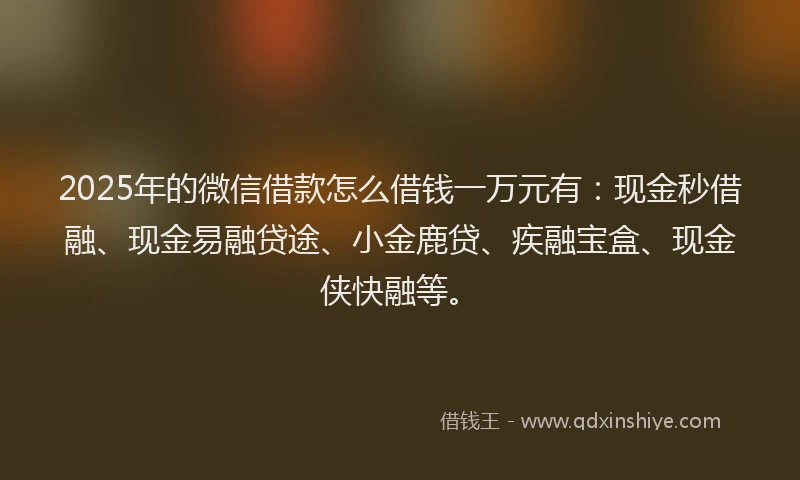 2025年的微信借款怎么借钱一万元有：现金秒借融、现金易融贷途、小金鹿贷、疾融宝盒、现金侠快融等。
