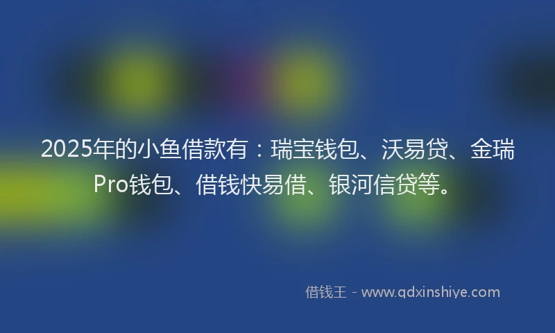 2025年的小鱼借款有：瑞宝钱包、沃易贷、金瑞Pro钱包、借钱快易借、银河信贷等。