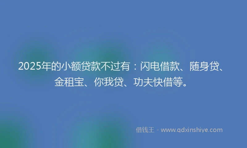 2025年的小额贷款不过有：闪电借款、随身贷、金租宝、你我贷、功夫快借等。