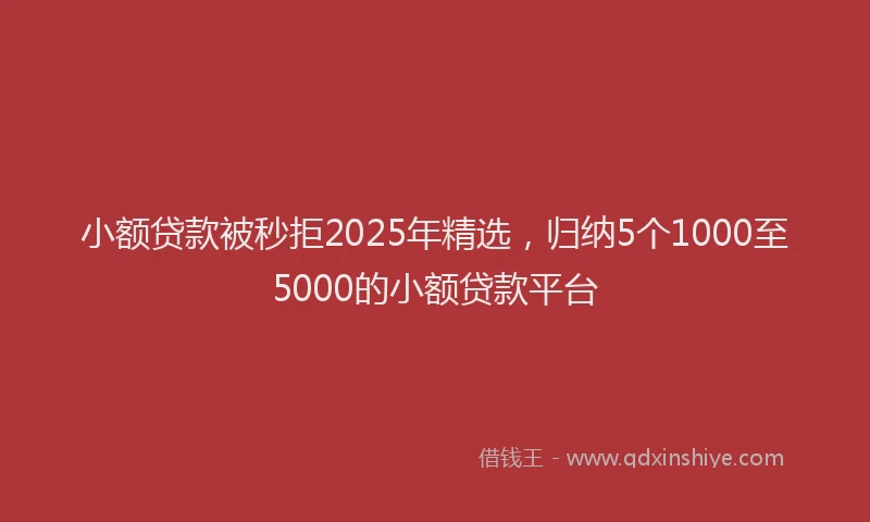 小额贷款被秒拒2025年精选，归纳5个1000至5000的小额贷款平台