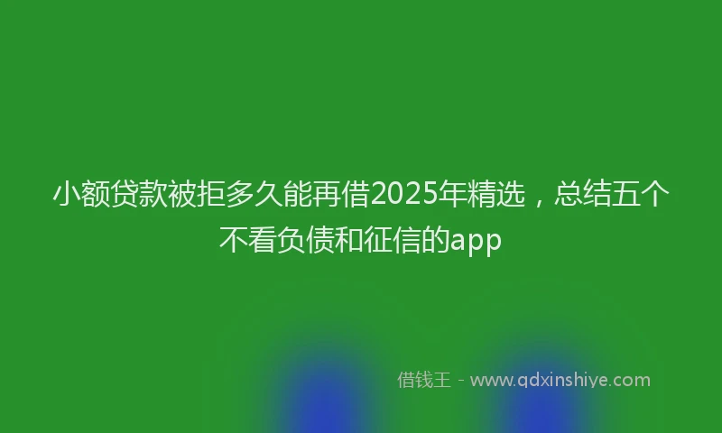 小额贷款被拒多久能再借2025年精选，总结五个不看负债和征信的app