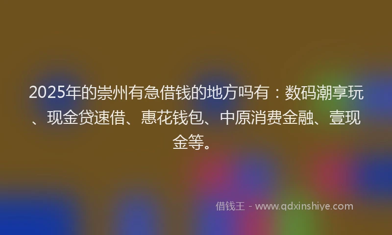 2025年的崇州有急借钱的地方吗有：数码潮享玩、现金贷速借、惠花钱包、中原消费金融、壹现金等。