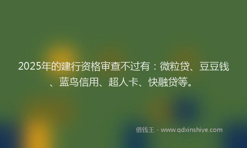 2025年的建行资格审查不过有：微粒贷、豆豆钱、蓝鸟信用、超人卡、快融贷等。