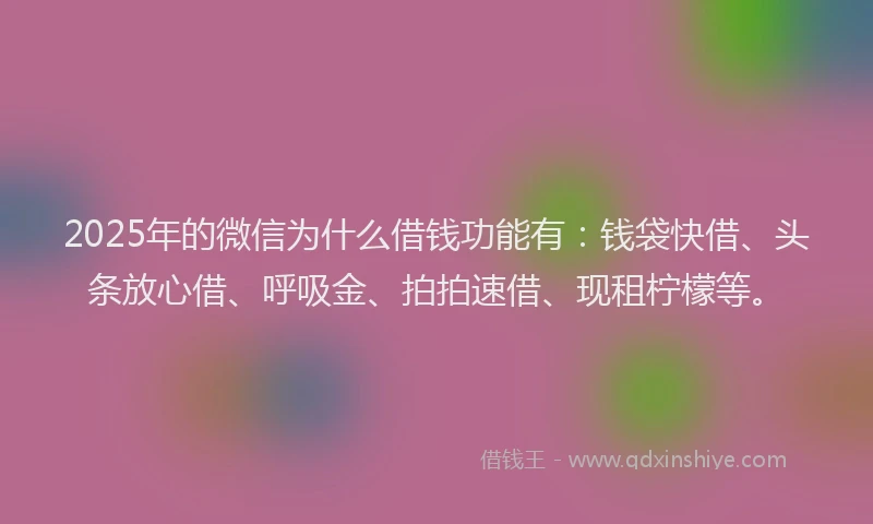 2025年的微信为什么借钱功能有：钱袋快借、头条放心借、呼吸金、拍拍速借、现租柠檬等。