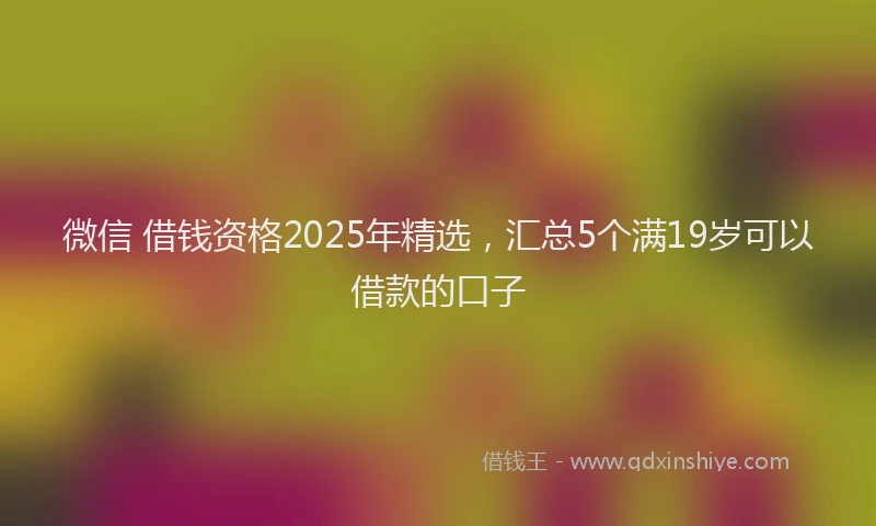 微信 借钱资格2025年精选，汇总5个满19岁可以借款的口子