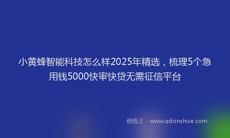 小黄蜂智能科技怎么样2025年精选，梳理5个急用钱5000快审快贷无需征信平台