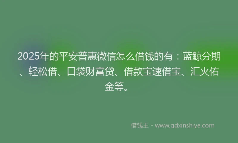 2025年的平安普惠微信怎么借钱的有：蓝鲸分期、轻松借、口袋财富贷、借款宝速借宝、汇火佑金等。