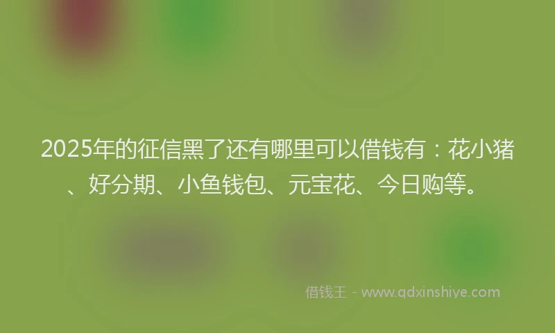 2025年的征信黑了还有哪里可以借钱有：花小猪、好分期、小鱼钱包、元宝花、今日购等。