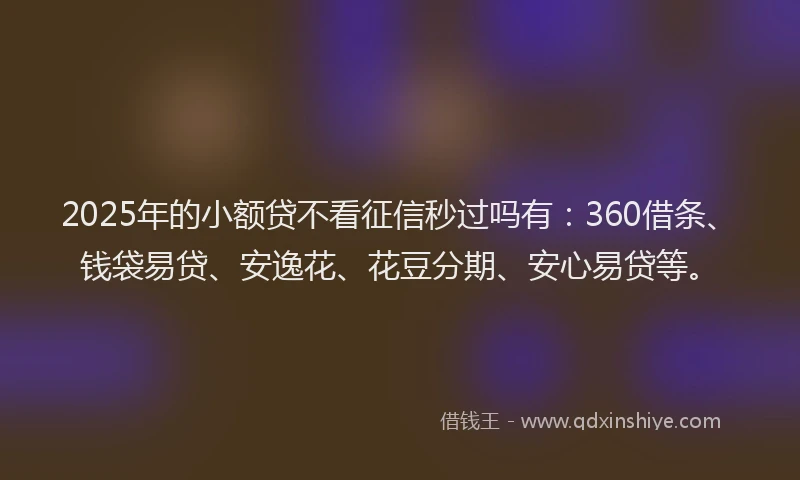 2025年的小额贷不看征信秒过吗有：360借条、钱袋易贷、安逸花、花豆分期、安心易贷等。