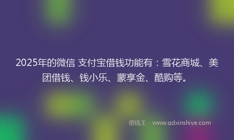 2025年的微信 支付宝借钱功能有：雪花商城、美团借钱、钱小乐、蒙享金、酷购等。