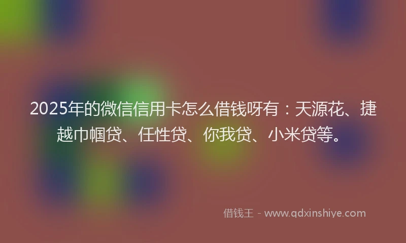 2025年的微信信用卡怎么借钱呀有：天源花、捷越巾帼贷、任性贷、你我贷、小米贷等。