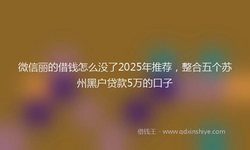 微信丽的借钱怎么没了2025年推荐，整合五个苏州黑户贷款5万的口子