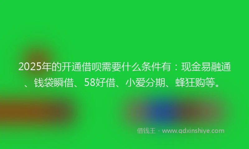 2025年的开通借呗需要什么条件有：现金易融通、钱袋瞬借、58好借、小爱分期、蜂狂购等。