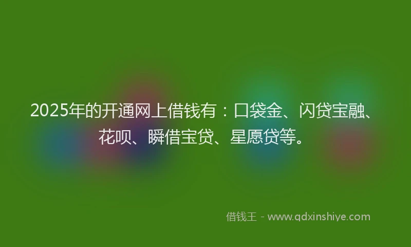 2025年的开通网上借钱有：口袋金、闪贷宝融、花呗、瞬借宝贷、星愿贷等。