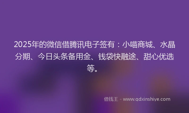 2025年的微信借腾讯电子签有：小喵商城、水晶分期、今日头条备用金、钱袋快融途、甜心优选等。
