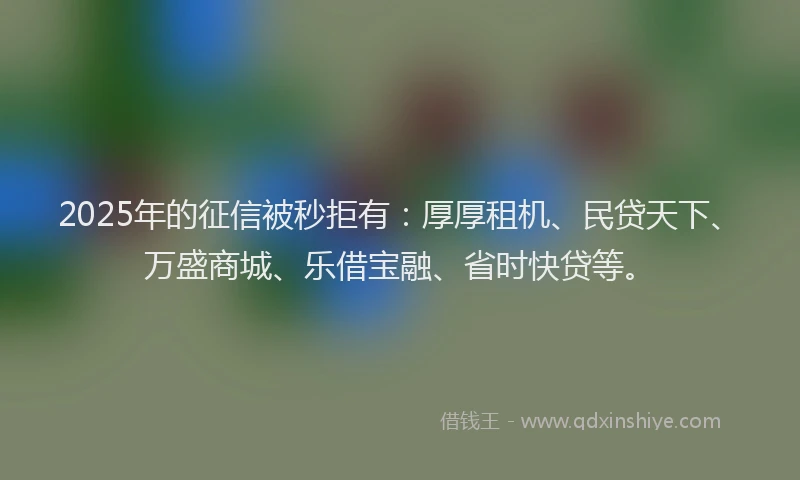 2025年的征信被秒拒有：厚厚租机、民贷天下、万盛商城、乐借宝融、省时快贷等。