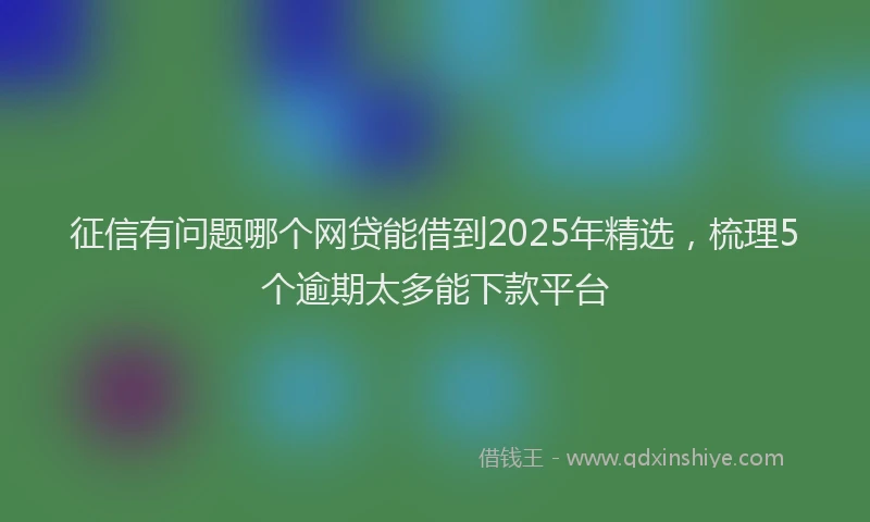 征信有问题哪个网贷能借到2025年精选，梳理5个逾期太多能下款平台