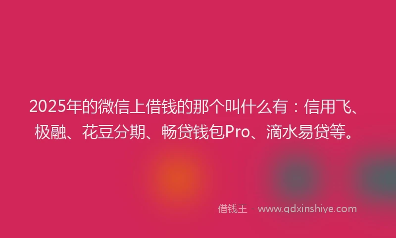 2025年的微信上借钱的那个叫什么有：信用飞、极融、花豆分期、畅贷钱包Pro、滴水易贷等。