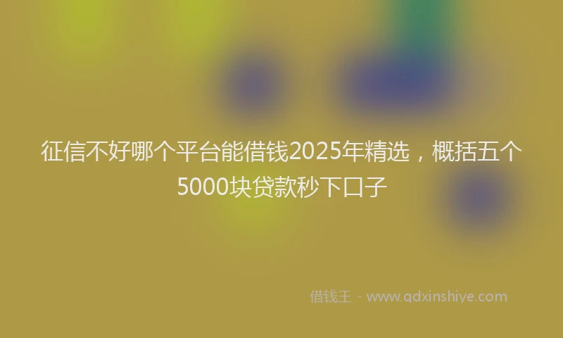 征信不好哪个平台能借钱2025年精选，概括五个5000块贷款秒下口子