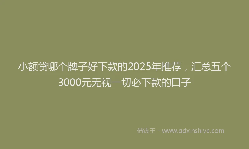 小额贷哪个牌子好下款的2025年推荐，汇总五个3000元无视一切必下款的口子