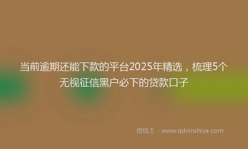 当前逾期还能下款的平台2025年精选，梳理5个无视征信黑户必下的贷款口子