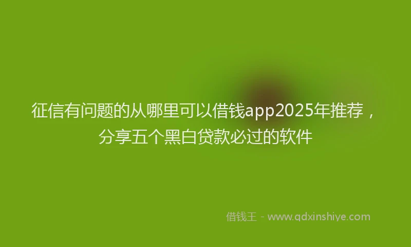 征信有问题的从哪里可以借钱app2025年推荐，分享五个黑白贷款必过的软件