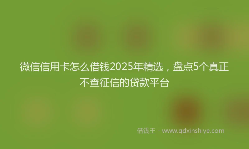 微信信用卡怎么借钱2025年精选，盘点5个真正不查征信的贷款平台