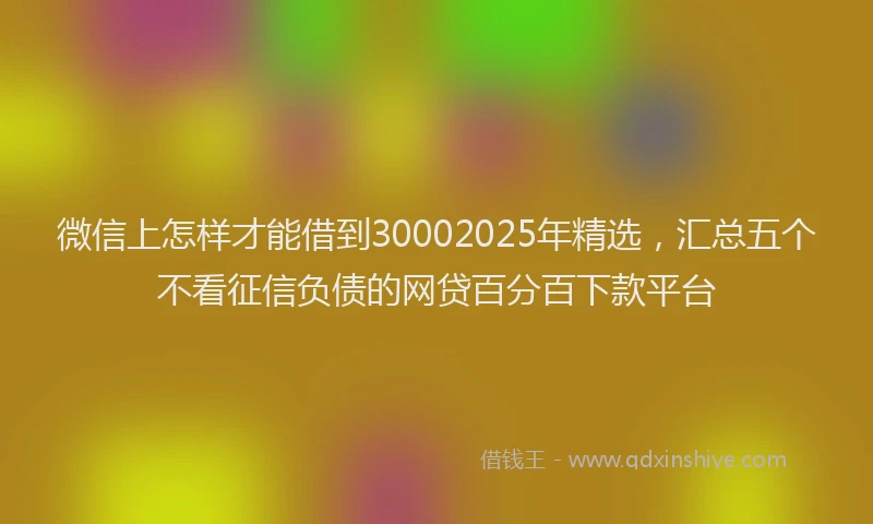 微信上怎样才能借到30002025年精选，汇总五个不看征信负债的网贷百分百下款平台