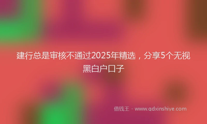 建行总是审核不通过2025年精选，分享5个无视黑白户口子