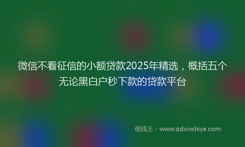 微信不看征信的小额贷款2025年精选，概括五个无论黑白户秒下款的贷款平台