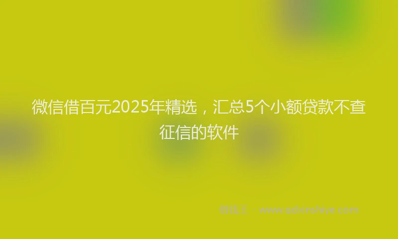 微信借百元2025年精选，汇总5个小额贷款不查征信的软件