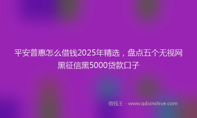 平安普惠怎么借钱2025年精选，盘点五个无视网黑征信黑5000贷款口子
