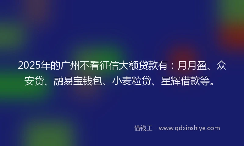 2025年的广州不看征信大额贷款有：月月盈、众安贷、融易宝钱包、小麦粒贷、星辉借款等。